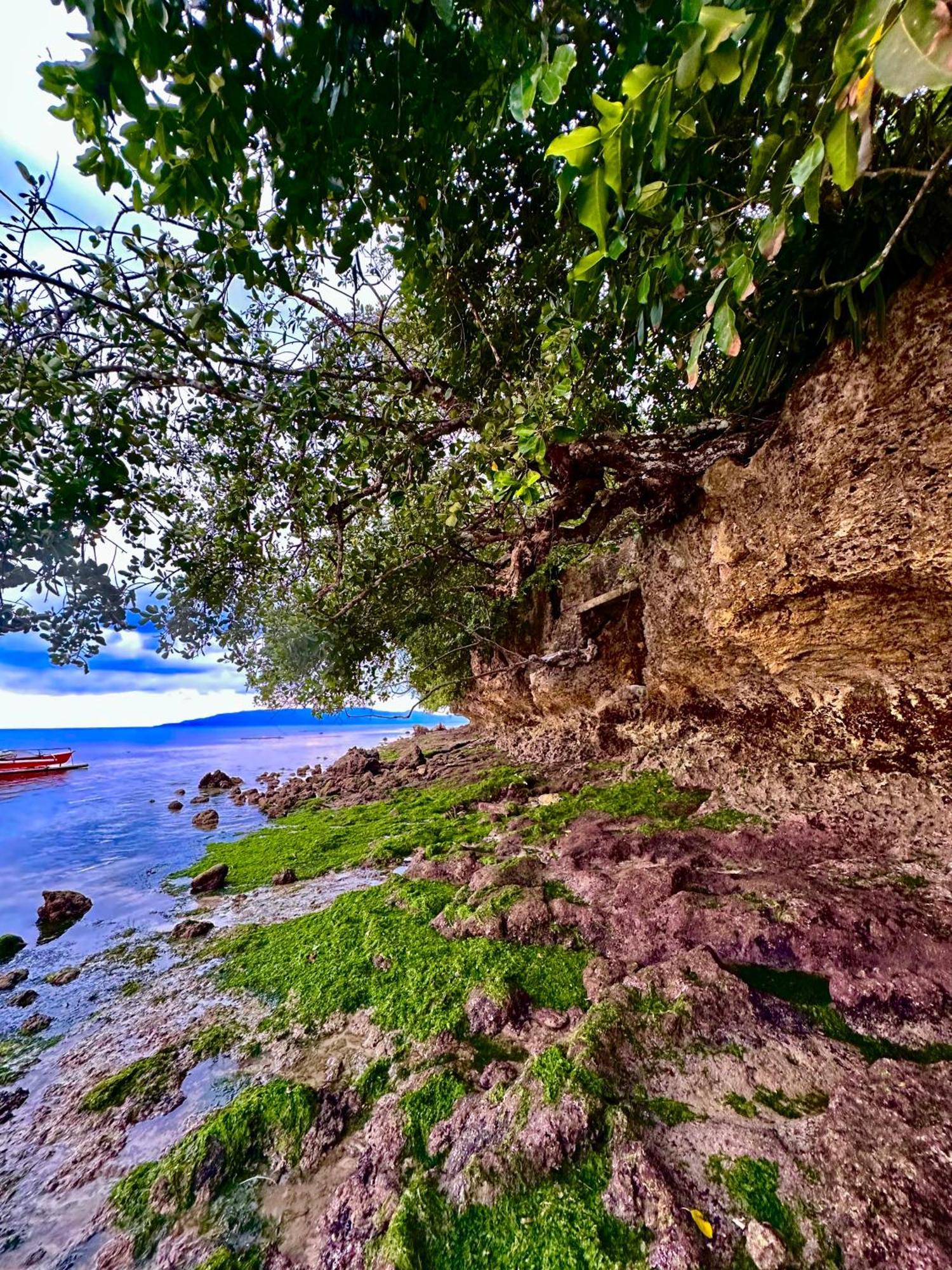Sapphire Boutique Resort Panglao Εξωτερικό φωτογραφία
